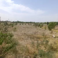 زمین|فروش زمین و ملک کلنگی|کرج, مصباح|دیوار