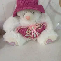 عروسک پولیشی