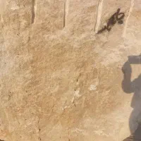 سنگ کوپ  مسقیم از معدن|مصالح و تجهیزات ساختمان|عباس‌آباد, |دیوار