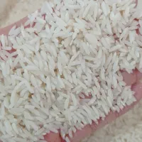 برنج اصل هاشمی