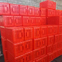 تولیدسبدخرماسبد میوه 20 و 25ک سبد میگوگلدان