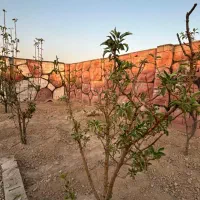 فروش باغچه ۲۵۰ متری /سند تکبرگ /