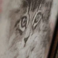 تابلو فرش دستبافت|تابلو فرش|تهران, تهرانسر شرقی|دیوار