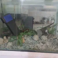 اکواریوم با تمام وسایل