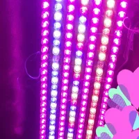 پنل LEDرشت گیاه فول اسپکتروم