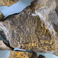 سنگ شجرکلکسیونی|کلکسیون اشیاء عتیقه|مشهد, هفده شهریور|دیوار