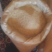 برنج چمپادرجه یک بشرط