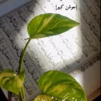تورهوایی کربلا