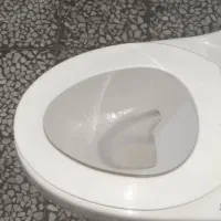 توالت فرهنگی