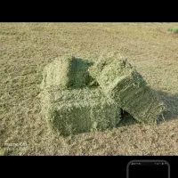 پرس یونجه ویونجه پودری