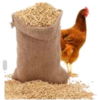 استخدام نیروی آقا حقوق بالا