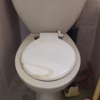 توالت فرنگی