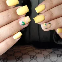 کاشت تخصصی ترمیم ژلیش|خدمات آرایشگری و زیبایی|مشهد, پروین اعتصامی|دیوار