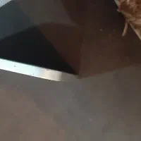 ایپد پرو ۲۰۲۱  ۱۱ اینچ|تبلت|بوشهر, |دیوار