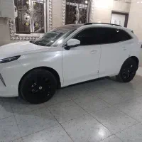 لاماری فول خشک