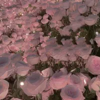 سرویس مدارس در بروات