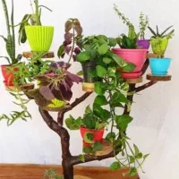 انواع گلدان و استند گلدان|حراج|گنبد کاووس, |دیوار