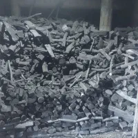 لیمو و انجیر برشی قلیونی