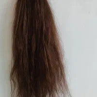 موی طبیعی رنگ خرمایی ۷۵سانت|آرایشی، بهداشتی، درمانی|طارم (زنجان), |دیوار