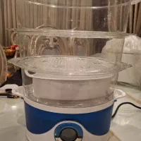 بخار پز فلر