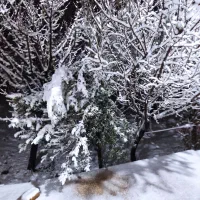 فروش-زمین-تجاری-مسکونی-دو-نبش-حاشیه-اصلی