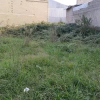 فروشی|فروش زمین و ملک کلنگی|رشت, حافظ آباد|دیوار