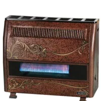 تعمیر انواع لوازم گازسوز پذیرفته میشود