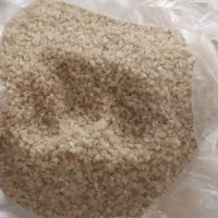 فروش برنج|خوردنی و آشامیدنی|کامفیروز, |دیوار