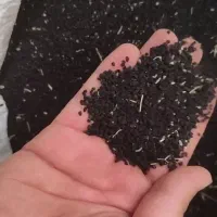 تره (بذر) طبس|گل و گیاه طبیعی|مشهد, ابرغن|دیوار