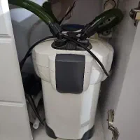 اکواریوم تمیز و سالم با تمامی امکانات درجه یک|ماهی|قم, پردیسان|دیوار