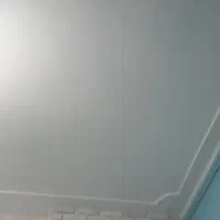 نقاش،رنگ آمیزی ساختمان|خدمات پیشه و مهارت|نوده خاندوز, |دیوار