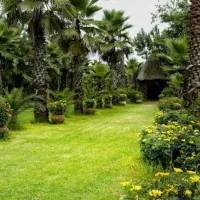 سرایداری در یک باغ گل و گیاه