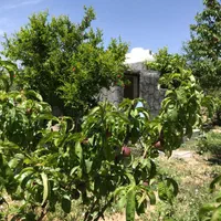 فروش زمین باغی تفریحی ولب اب پلزمانخان سامان|فروش زمین و ملک کلنگی|اصفهان, کوی ولی عصر|دیوار