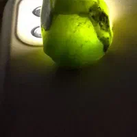 سنگ یشم جواهری  نفریت .و.جدیت