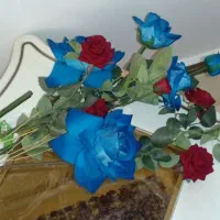 گلهای زیبا|گل مصنوعی|سبزوار, توحیدشهر|دیوار