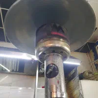 بخاری قارچی