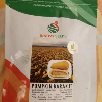 بذر کدو آجیلی گوشتی