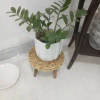 سیم کارت سبز ها