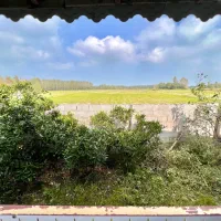 350 متر ویلاباغ پردرخت/چه ویویی /ببین فقط/خشکبیجار|فروش خانه و ویلا|رشت, استادسرا|دیوار