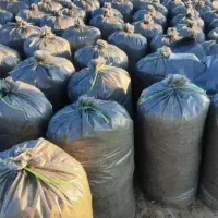 یونجه و ذرت