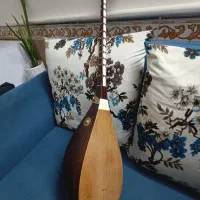 دوتار خوش خوان|سازهای سنتی|بجنورد, |دیوار