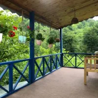 مدارک گم کردم بنام امیرمحمدقاسمی