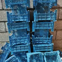 سبد پنج کیلویی مناسب سردخانه