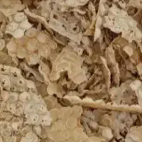 نان خشک شده و برنج اصافه پتخته