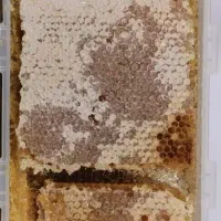 شیرینی جات و سوغاتی|خدمات پذیرایی، مراسم|اردبیل, |دیوار