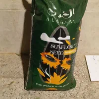 تخمه|عمده‌فروشی|قیدار, |دیوار