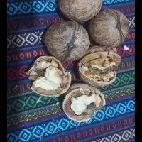 گردو کشمش شیره انگور