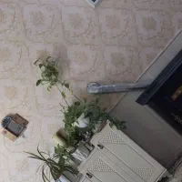 فروش آپارتمان ۱۱۵ متری ۱ خوابه طبقه ۲ در  نیشابور|فروش آپارتمان|نیشابور, گنبد سبز|دیوار