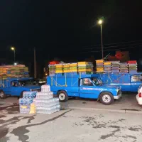 زنبور عسل  حراج شود به شرط بالا پنج قاب در لاهیجان