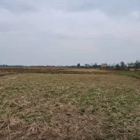 زمین‌ مزروعی ۱۵/۰۰۰متری تسطیح‌نشده در تالش کلفارود|فروش زمین و ملک کلنگی|تالش, طولارود|دیوار